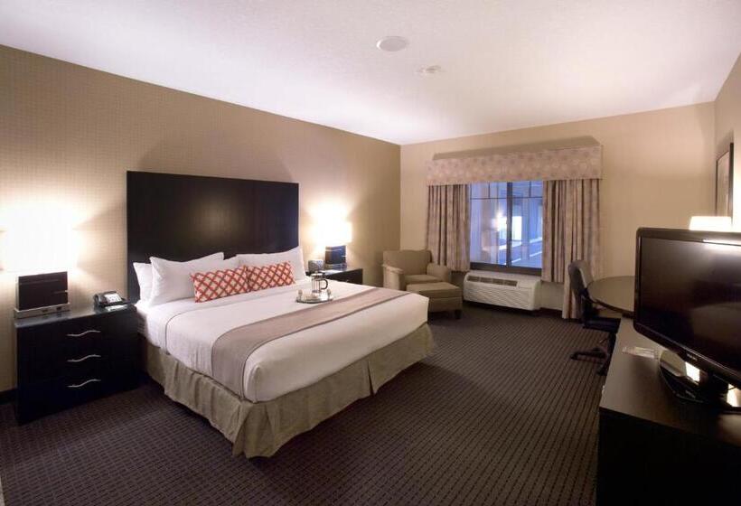 Номер Executive Кровать Кинг, Holiday Inn St. Paul Northeast   Lake Elmo, An Ihg