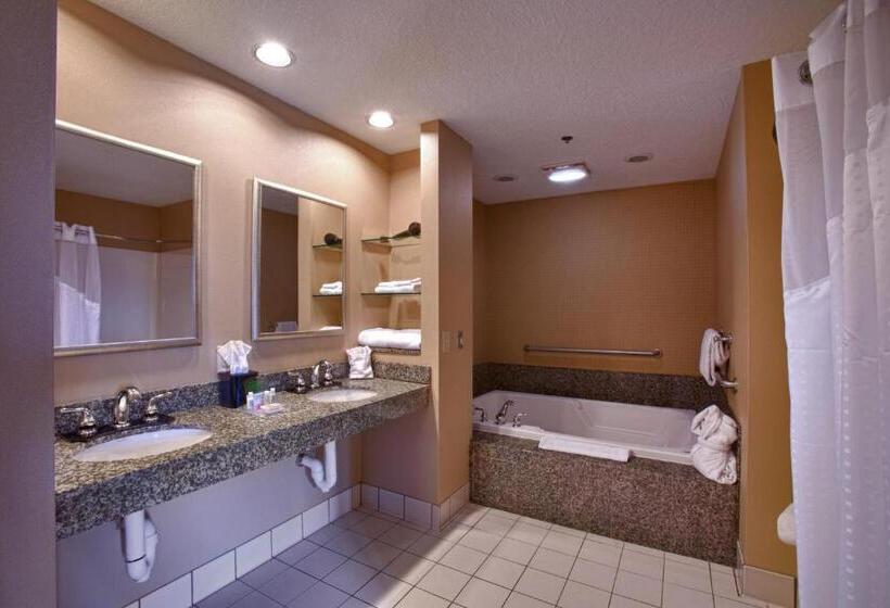 Люкс Executive Кровать Кинг, Holiday Inn St. Paul Northeast   Lake Elmo, An Ihg
