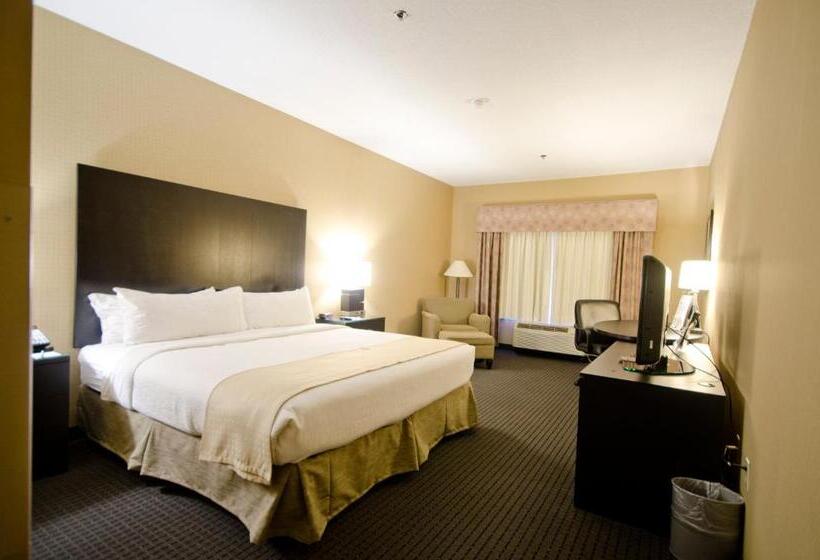 Номер Стандарт Кровать Кинг Адаптированный для Инвалидов, Holiday Inn St. Paul Northeast   Lake Elmo, An Ihg