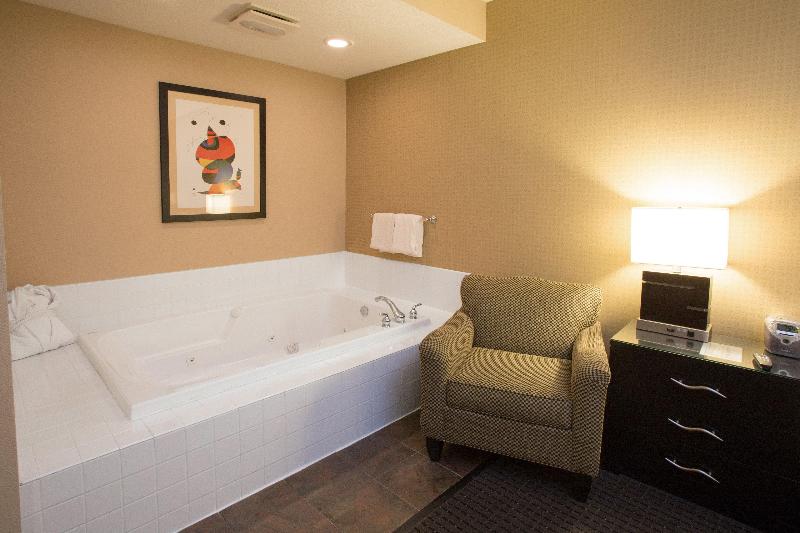 Люкс Кровать Кинг, Holiday Inn St. Paul Northeast   Lake Elmo, An Ihg