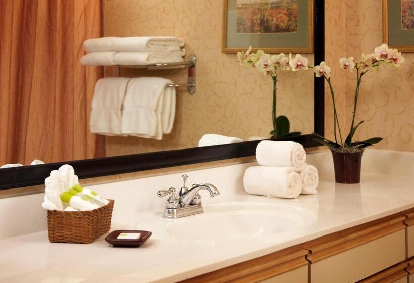 适合残疾人士使用的套间, Larkspur Landing Extended Stay Suites Campbell