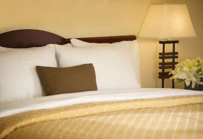 套房, Larkspur Landing Extended Stay Suites Campbell