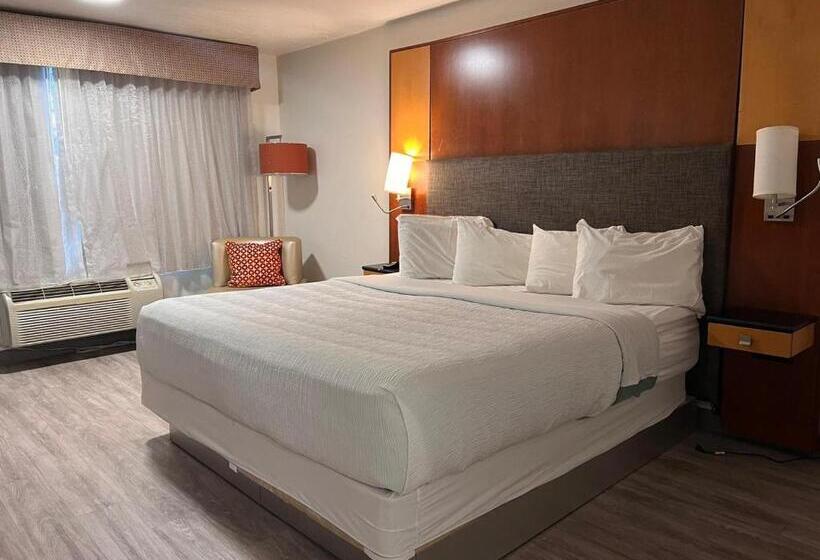 Номер Стандарт Кровать Кинг Адаптированный для Инвалидов, Clarion Inn Idaho Falls Riverfront