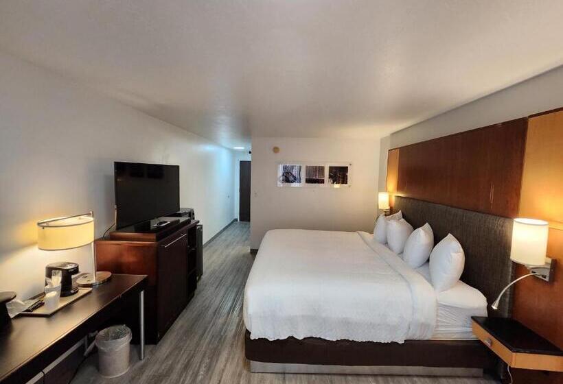 Номер Стандарт Кровать Кинг Адаптированный для Инвалидов, Clarion Inn Idaho Falls Riverfront