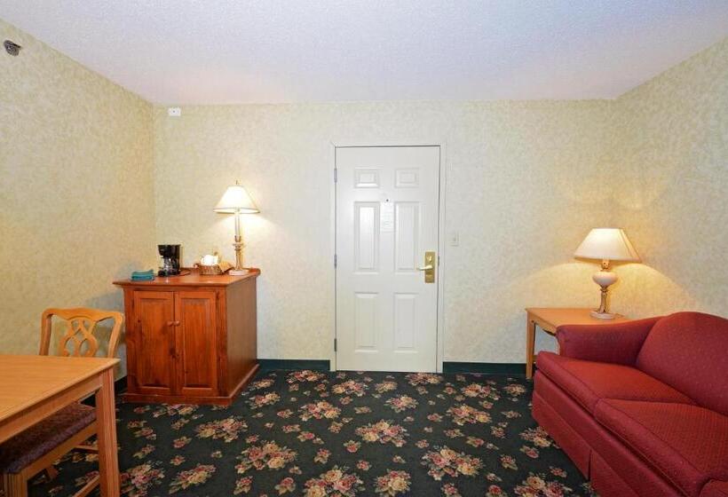 Стандартный Номер Кровать Кинг, Our Guest Inn And Suites   Downtown