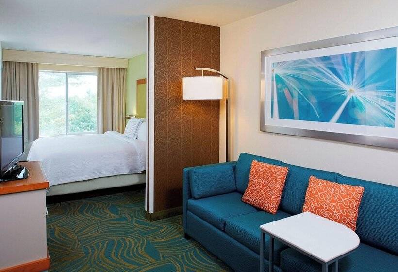 장애인을 위한 스위트, Springhill Suites By Marriott Atlanta Six Flags
