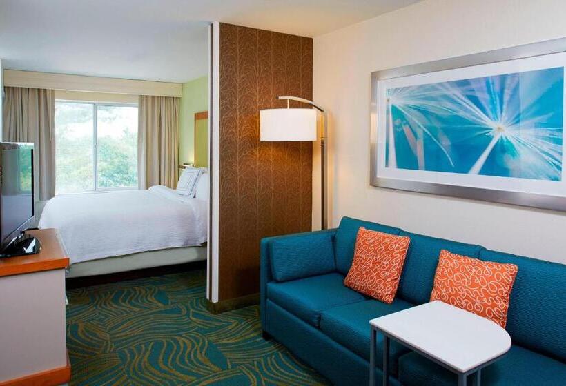 스위트 킹사이즈 침대, Springhill Suites By Marriott Atlanta Six Flags