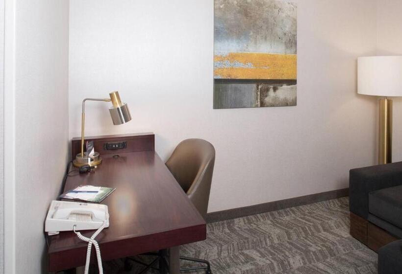 스위트, Springhill Suites By Marriott Billings