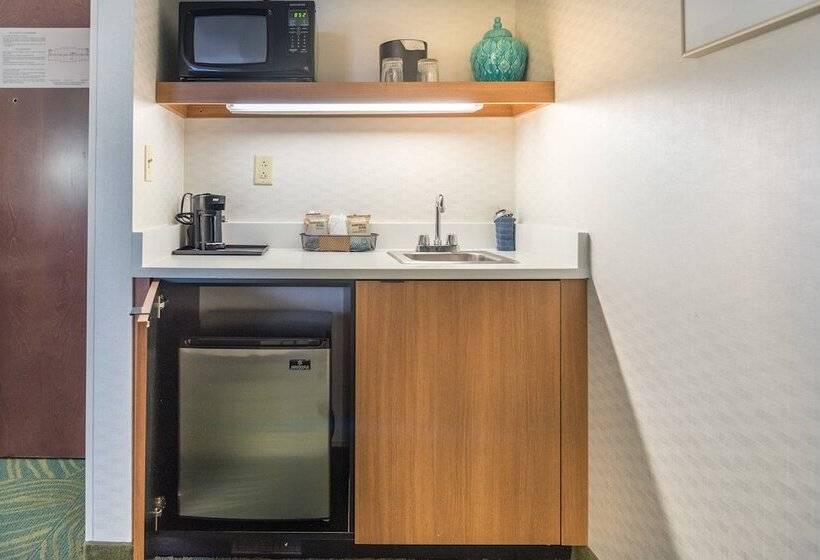 Suite Executiva, Springhill Suites By Marriott Chicago Southwest At Burr Ridge Hinsdale