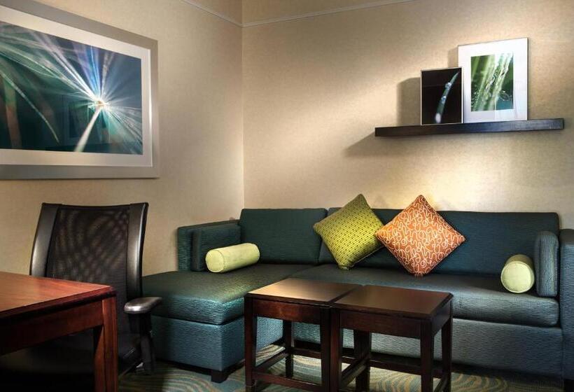 스위트 킹사이즈 침대, Springhill Suites Dallas Dfw Airport North/grapevine