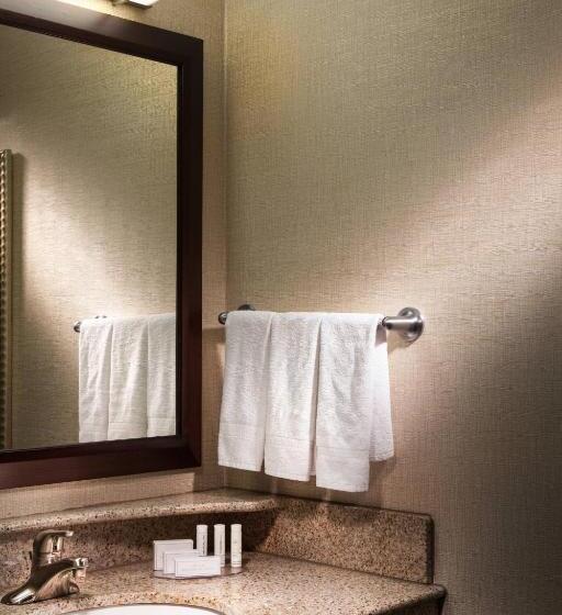 스위트, Springhill Suites Dallas Dfw Airport North/grapevine