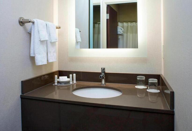 Студия Стандарт, Springhill Suites By Marriott Frankenmuth