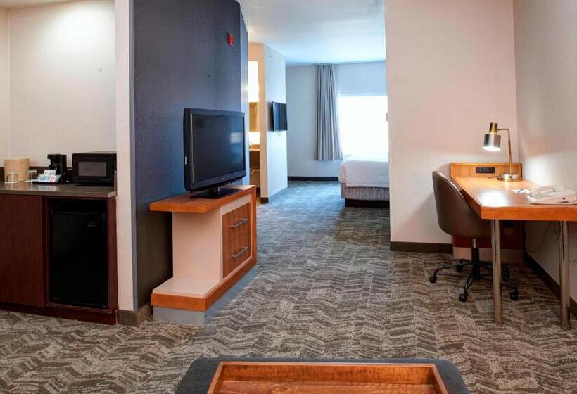 Студио Стандарт Кровать Кинг, Springhill Suites By Marriott Frankenmuth