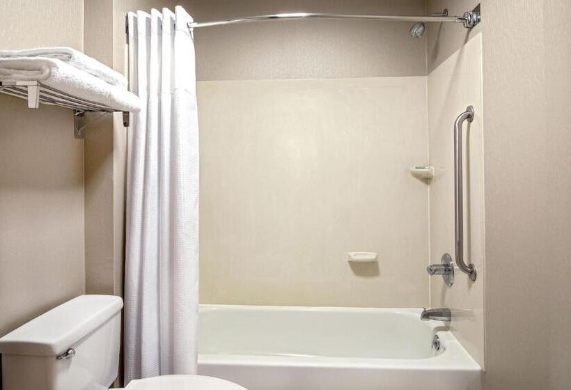 带大床的标准工作室, Springhill Suites By Marriott Hershey Near The Park