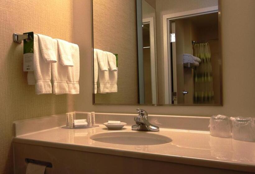 带大床的标准工作室, Springhill Suites By Marriott Hershey Near The Park