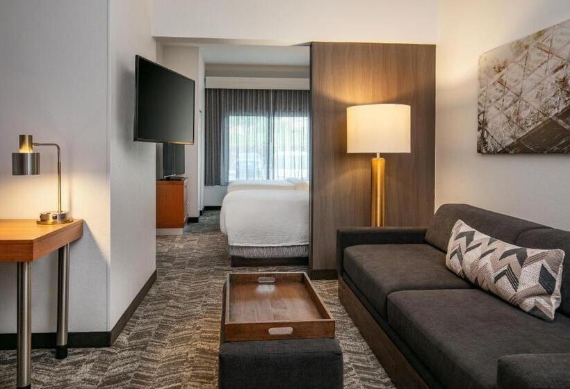 标准工作室, Springhill Suites By Marriott Hershey Near The Park