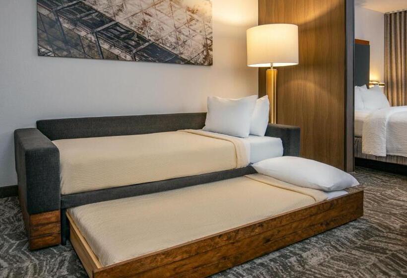 带大床的标准工作室, Springhill Suites By Marriott Hershey Near The Park