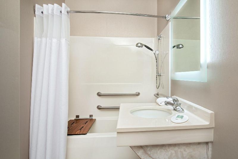 带大床的标准工作室, Springhill Suites By Marriott Hershey Near The Park