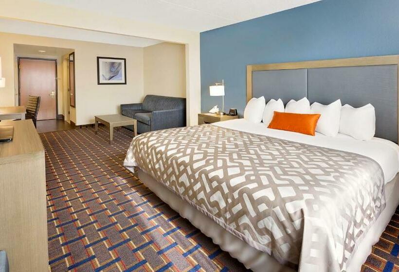Pokój Standard Łóżko King Size, Comfort Inn & Suites Arlington Heights   Schaumburg