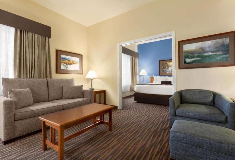 Люкс Кровать Кинг, Wingate By Wyndham Denver Tech Center