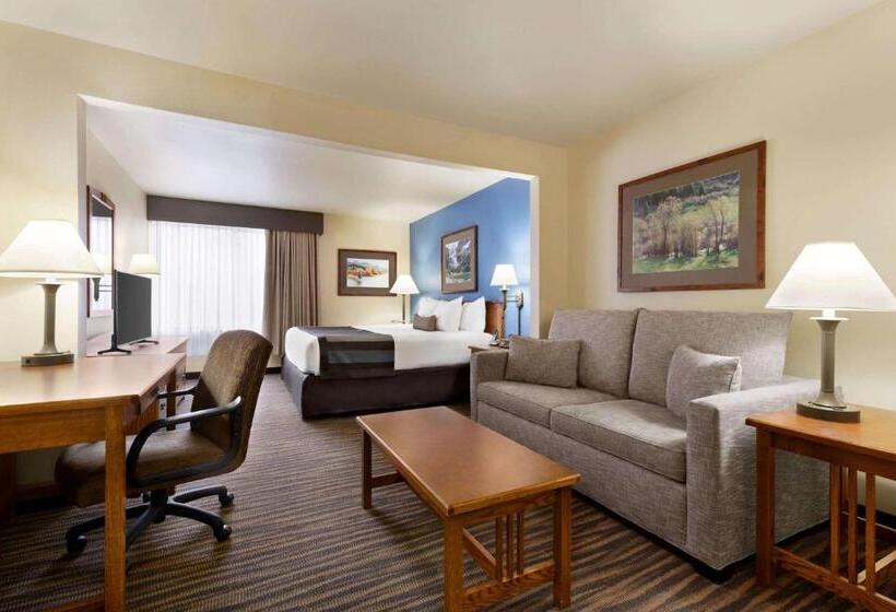Номер Deluxe Кровать Кинг, Wingate By Wyndham Denver Tech Center