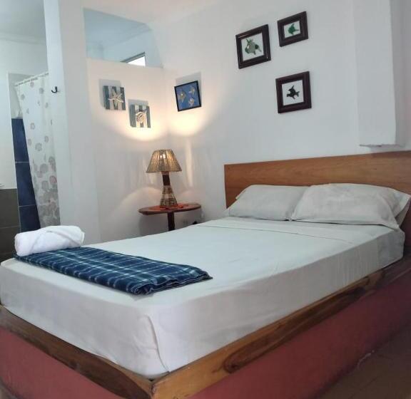 스탠다드 룸, Hospedaje Algarrobo Machalilla