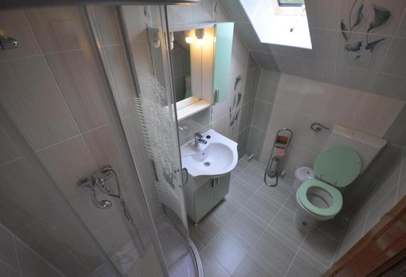 Номер Стандарт, Cabana Sargetia