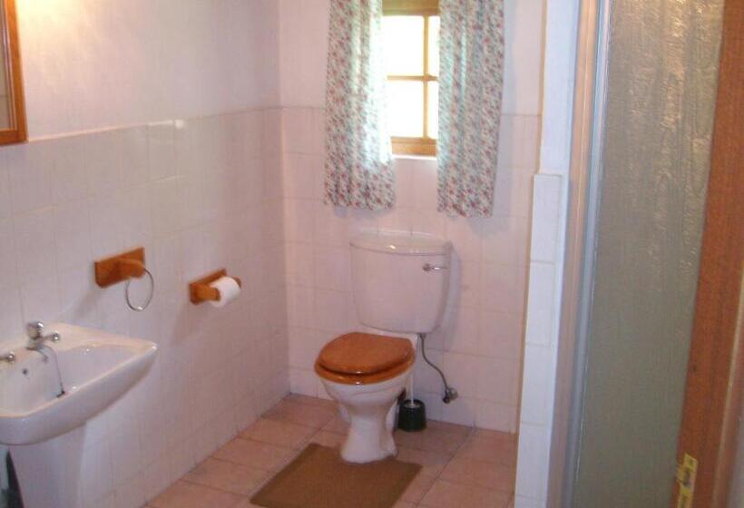 스탠다드 싱글 룸, Oaktree Lodge Guest House