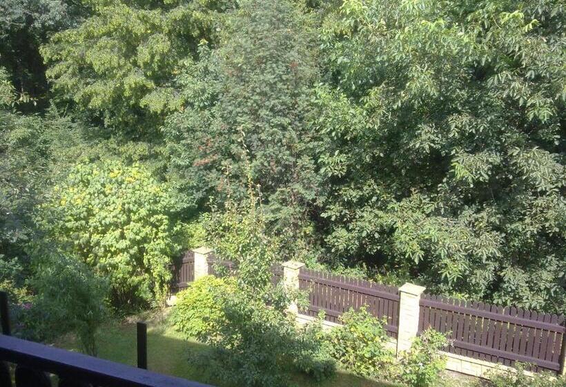Номер Стандарт, Studánka