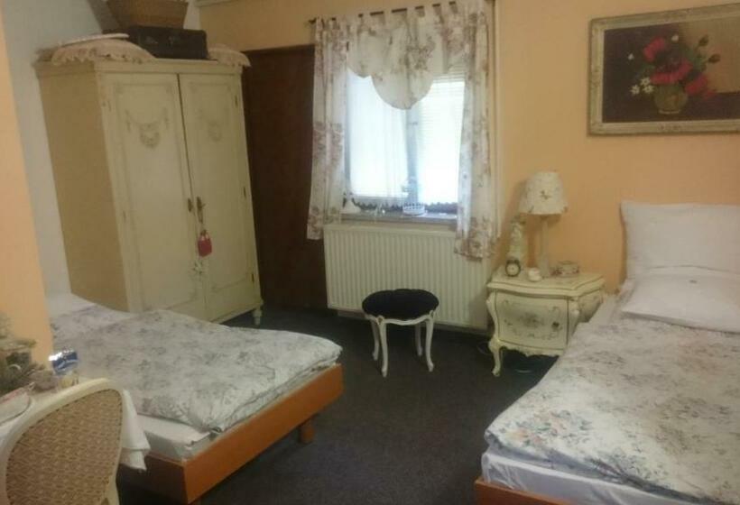 Номер Стандарт, Pension Jana Tatrovice