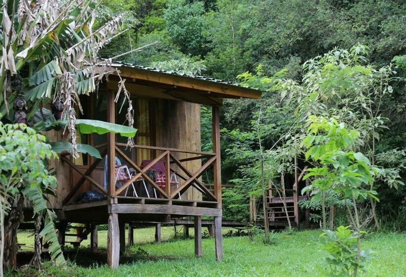 スタンダードルーム, Posada Camboatá