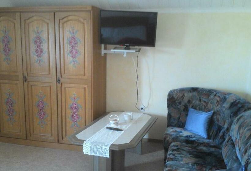 Номер Стандарт, Domizil