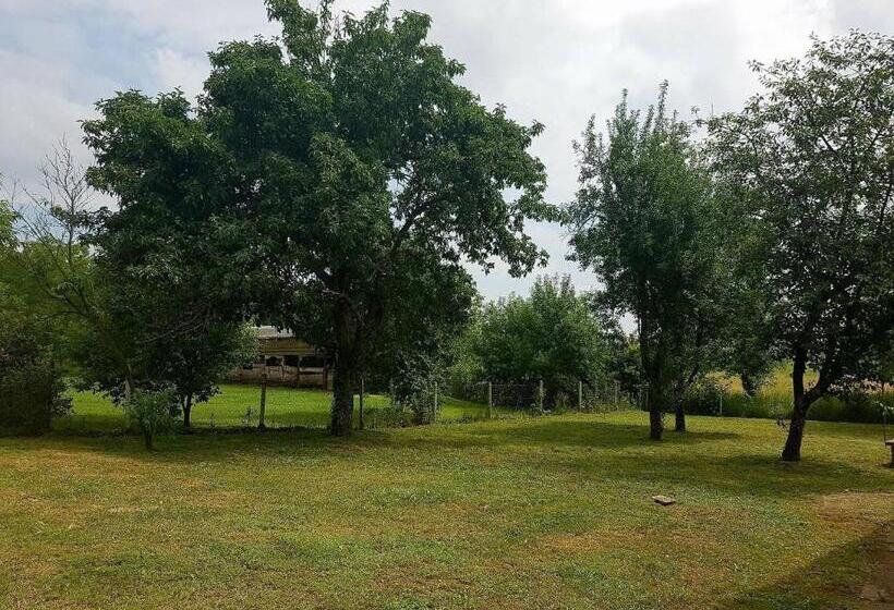 Апартаменты 1 Спальня Нижний Этаж, Veronika Guesthouse