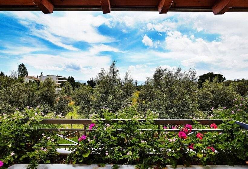 디럭스 룸 가든 전망, Miramare Hotel Eretria