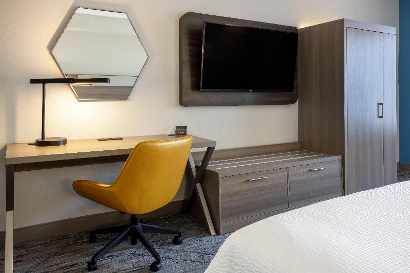Büyük Çift Kişilik Yataklı Standart Oda, Holiday Inn Express And Suites Tampa I 75 At Bruce B. Downs, An Ihg