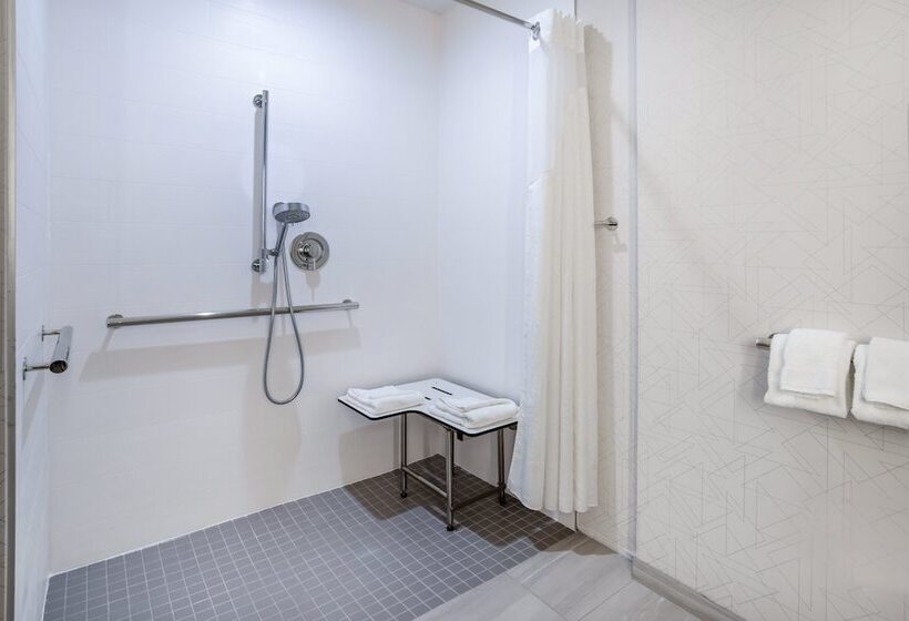 İki Çift Kişilik Yataklı Standart Oda, Holiday Inn Express And Suites Tampa I 75 At Bruce B. Downs, An Ihg