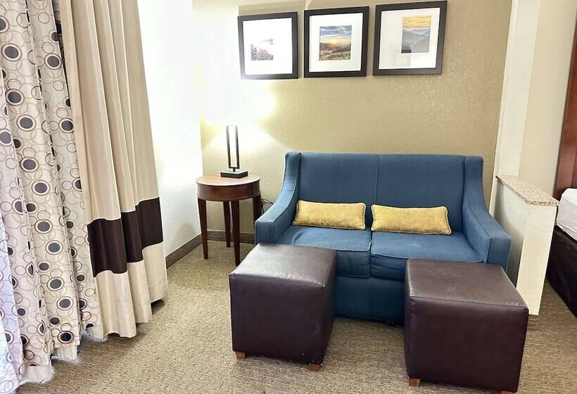 Люкс, Vista Suites Near Leconte Convention Center