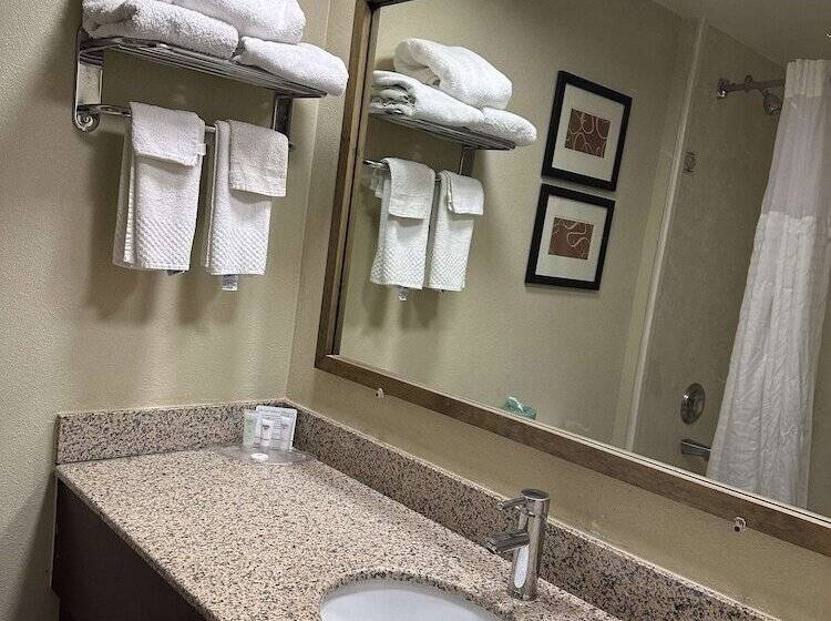 Люкс, Vista Suites Near Leconte Convention Center