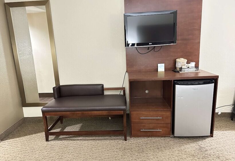 Люкс Адаптированный для Инвалидов, Vista Suites Near Leconte Convention Center
