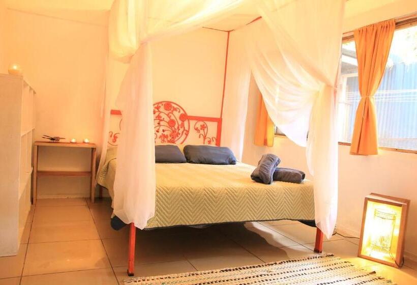 غرفة قياسية, Madre Selva Hostel