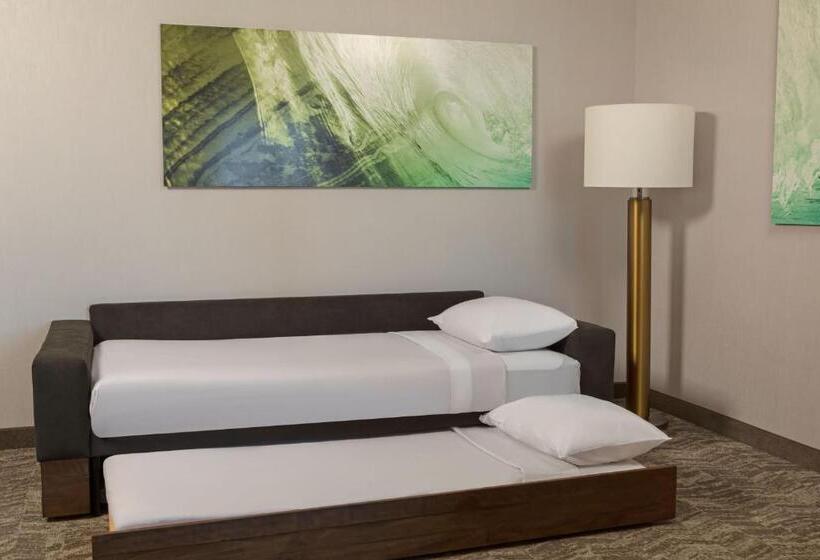 套房, Springhill Suites By Marriott West Sacramento