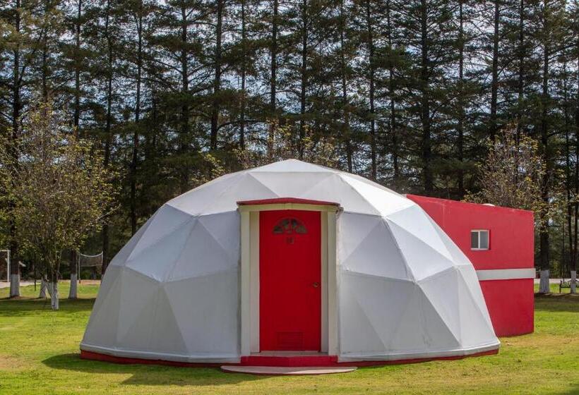 Standard Tent, & Glamping Huasca Sierra Verde