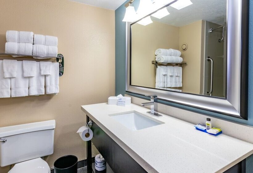 اتاق استاندارد با 2 تخت دوبل, Holiday Inn Express Boise Downtown, An Ihg