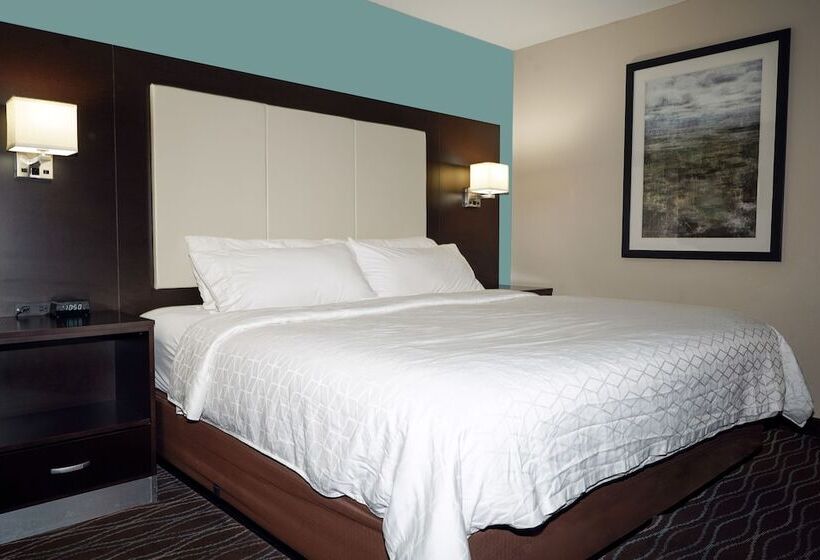 اتاق استاندارد با تخت دوبل, Holiday Inn Express Boise Downtown, An Ihg