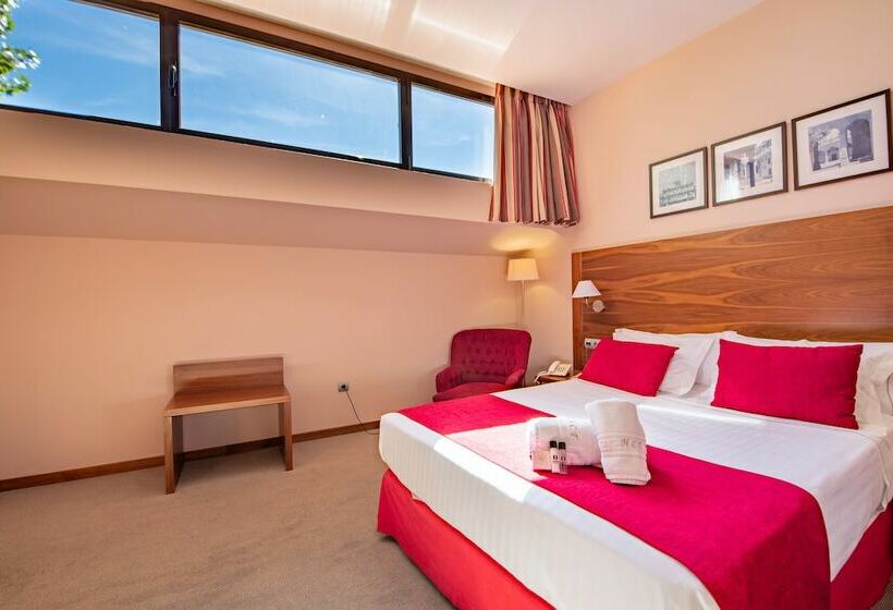 标准间, Hospedium Hotel Casino Del Tormes