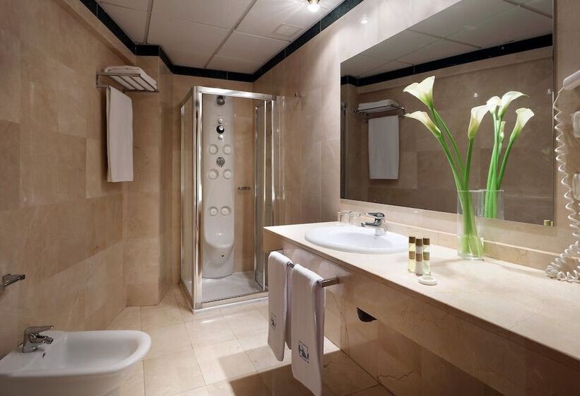 标准间, Eurostars Plaza Acueducto