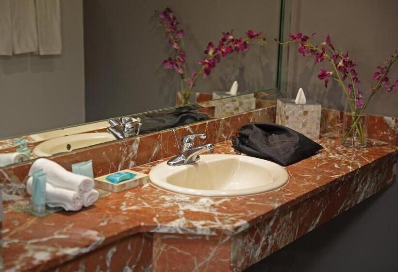 غرفة قياسية, Crowne Plaza Panama, An Ihg