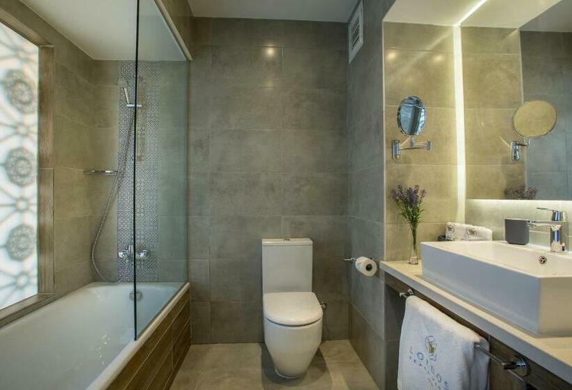 اتاق سوپریور با چشم‌انداز دریا, Lordos Beach Hotel & Spa