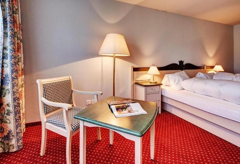 Номер Стандарт, Parkhotel Schwert