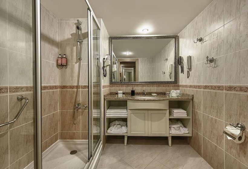 اتاق اساندارد با چشم‌انداز جانبی به دریا, Delphin Deluxe Resort